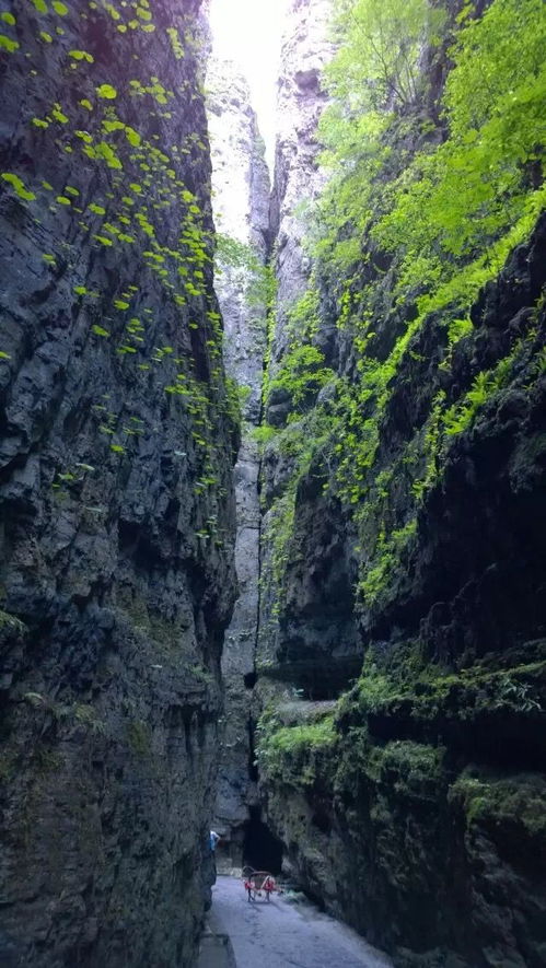 野三坡 百里峡游记