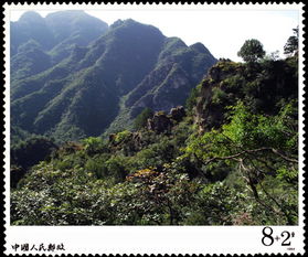 野三坡写生记 次生林峡谷的幽深与生机