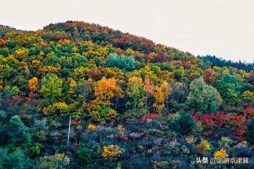 京津冀全域旅游精品线路发布，保定野三坡等景点入选