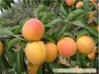 野三坡住宿全攻略 宾馆价格、预订与高清图片详解